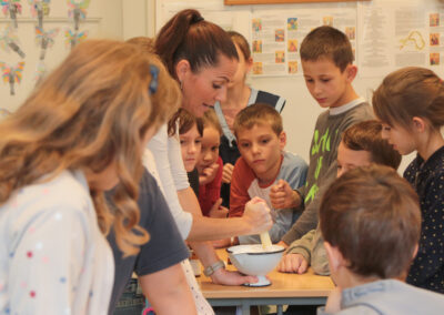 pályaorientációs nap