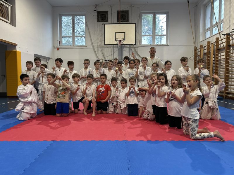 Judo bemutató és háziverseny