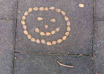 alkotas